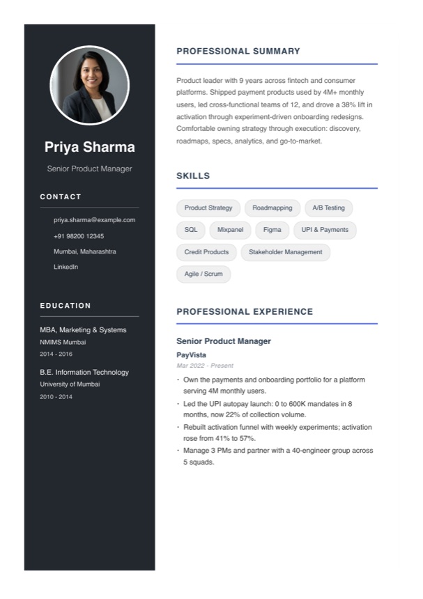 Elegant resume template preview