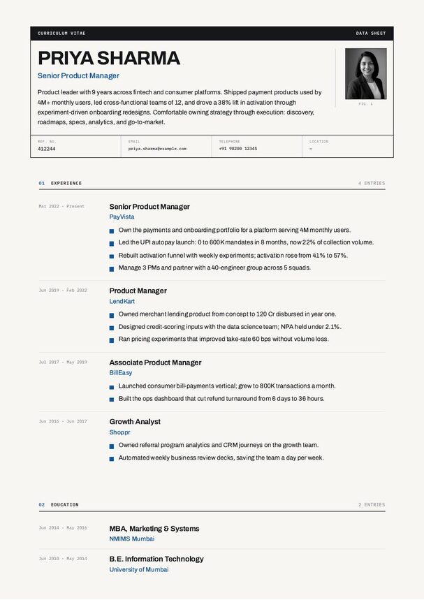 Datasheet resume template preview