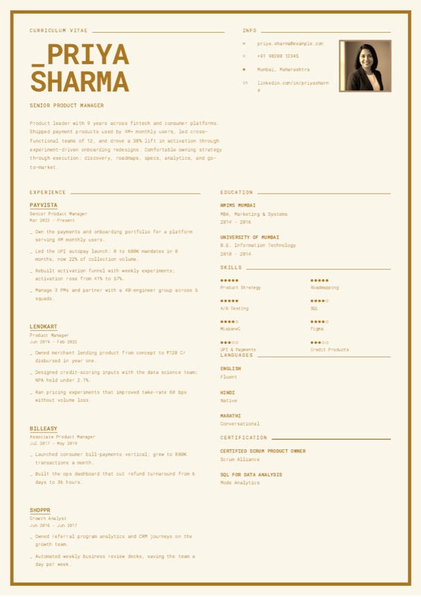 Ochre resume template preview